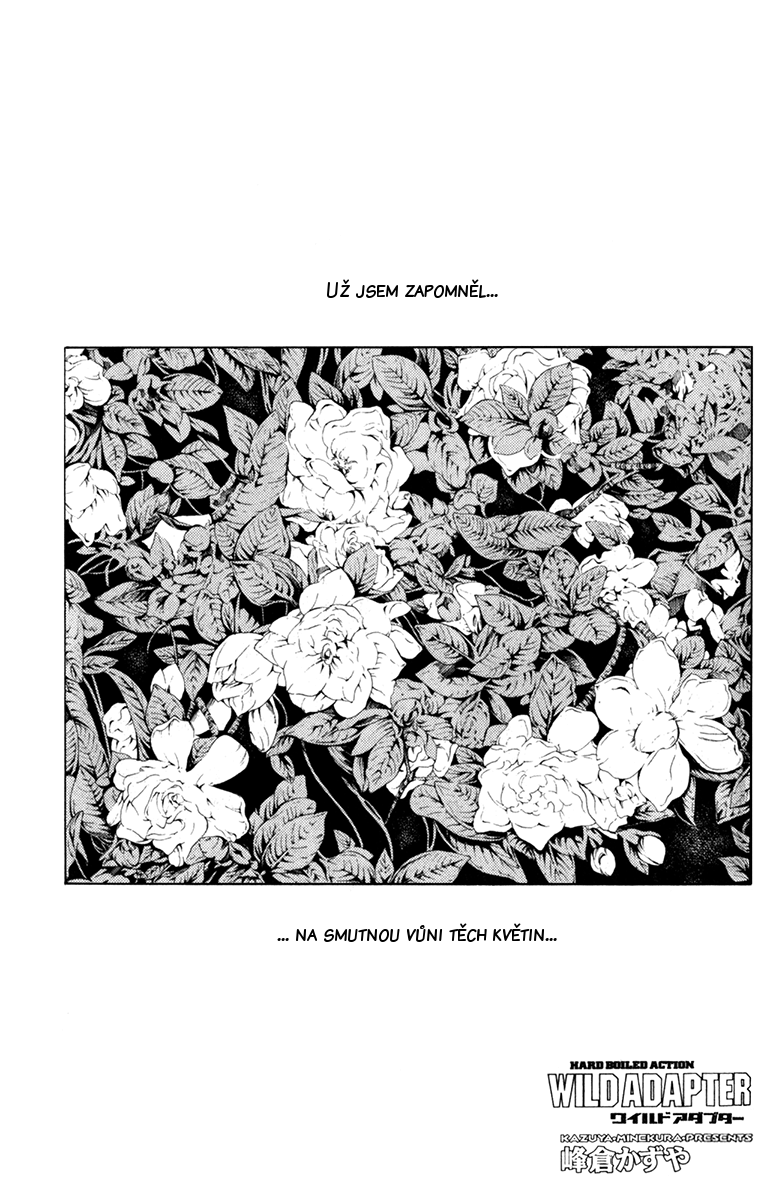 Wild Adapter v07 c42 - 02.png